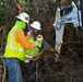 Lower San Joaquin River Elderberry Relocation February 2024