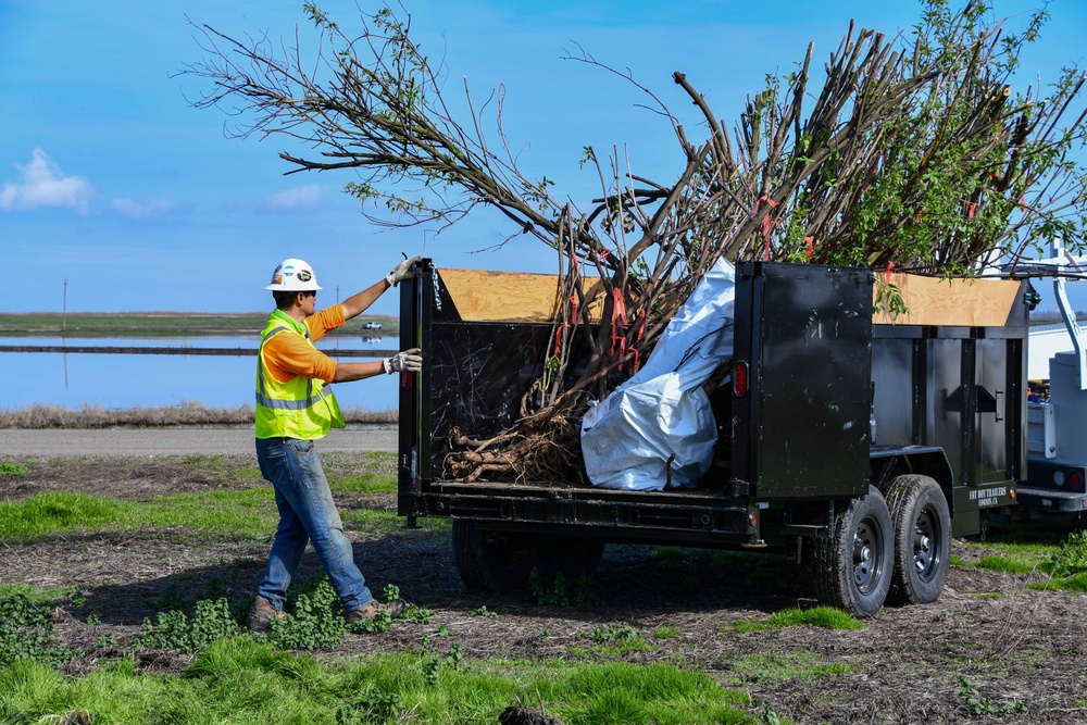 Lower San Joaquin River Elderberry Relocation February 2024