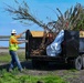 Lower San Joaquin River Elderberry Relocation February 2024