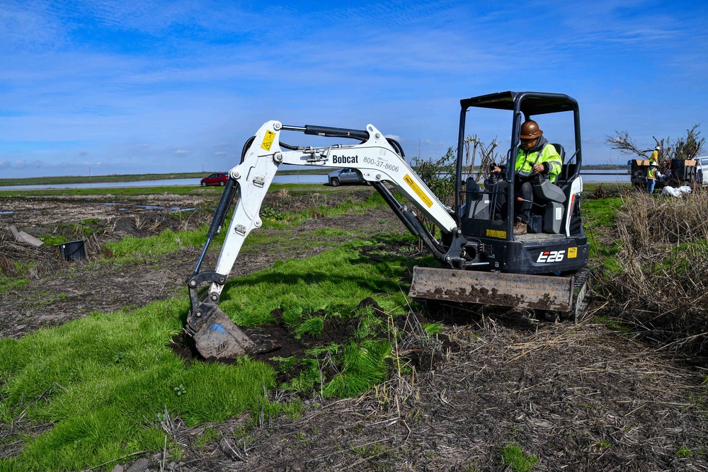 Lower San Joaquin River Elderberry Relocation February 2024