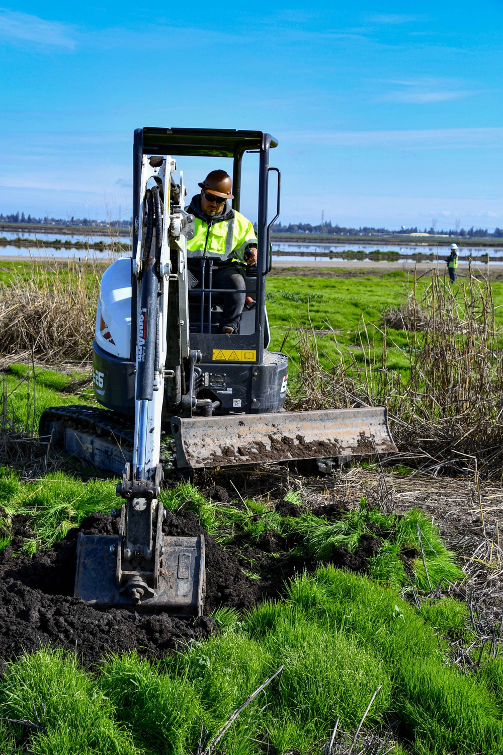 Lower San Joaquin River Elderberry Relocation February 2024