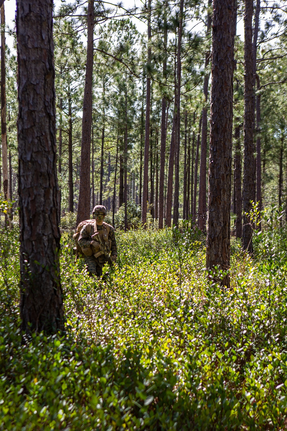 4th MARDIV Rifle Squad Competition 2024