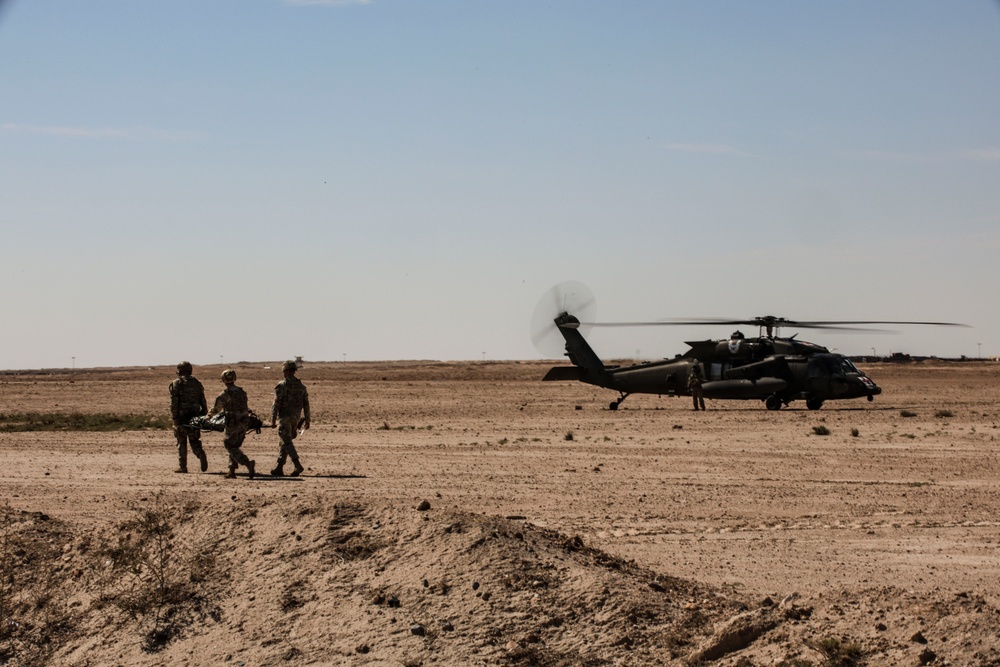 82CAB Medevac Demonstration