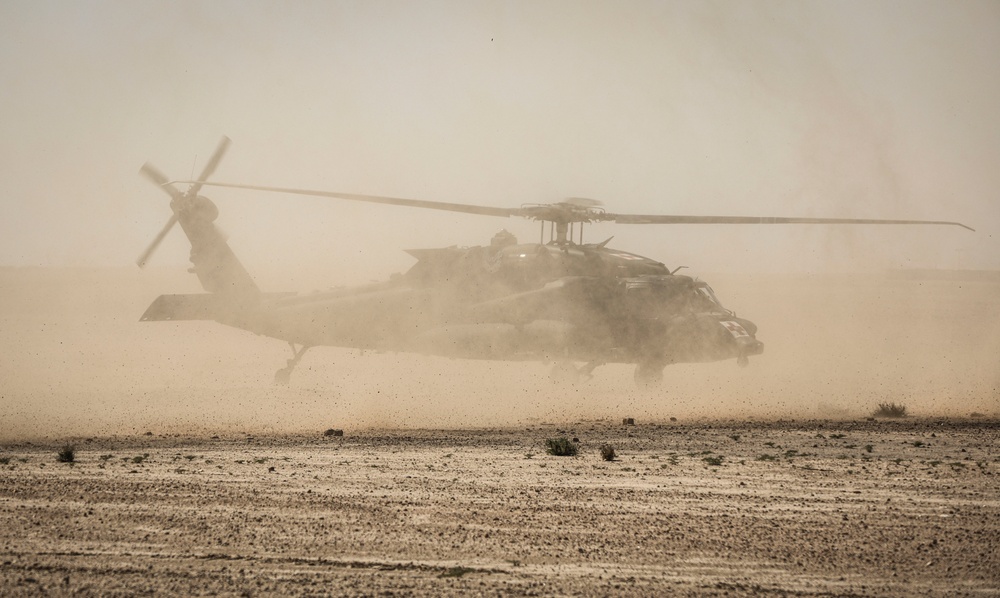 82CAB Medevac Demonstration