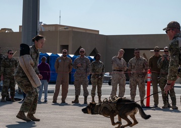 Al Udeid Air Base hosts Air Force Day for military families