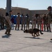 Al Udeid Air Base hosts Air Force Day for military families