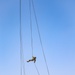 Air Assault Course Rappelling