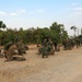 U.S. Marines Teach TCCC Procedures to Royal Thai Marines