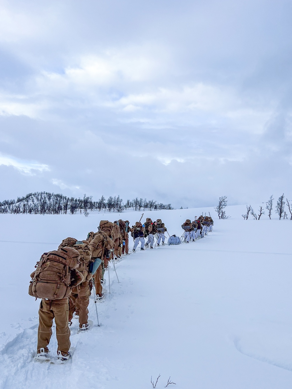 NMCB 11 Seabees Norwegian Cold Weather Survival Training