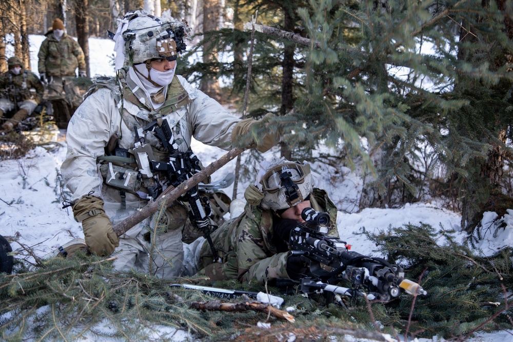 Squad Leader Arranges Concealment