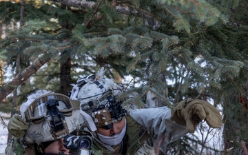 Warfighting in Alaska