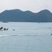 Exercise Cobra Gold 2024 amphibious landing operation