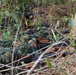 Royal Thai Marines Share Jungle Tactics with 15th MEU
