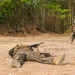 Royal Thai Marines Share Jungle Tactics with 15th MEU