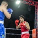3rd Infantry Division Soldiers compete in NATO boxing event