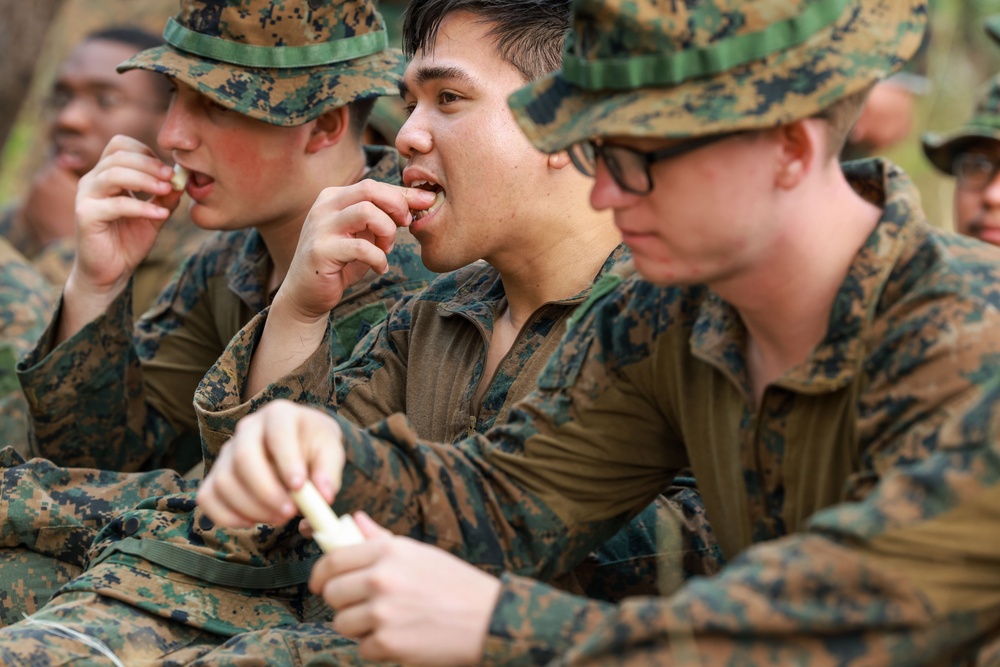 Royal Thai Marines Teach 15th MEU Marines About Jungle Survival