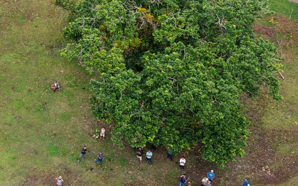 JTF-Bravo supports Exercise PANAMAX