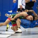 2024 Armed Forces Wrestling Championships