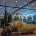 374th SFS hosts retirement ceremony for MWD Fflorida