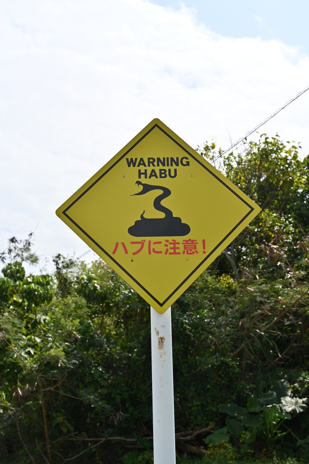 Habu Snake Warning Sign at White Beach Naval Facility