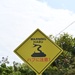 Habu Snake Warning Sign at White Beach Naval Facility