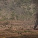 Marines Hit Hard with TOW Missiles at Cobra Gold 2024