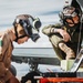 HMLA-267 Marines conduct maintenance on light attack helicopters during SLTE 2-24