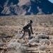 Green Flag-West 24-04 Nellis Air Force Base