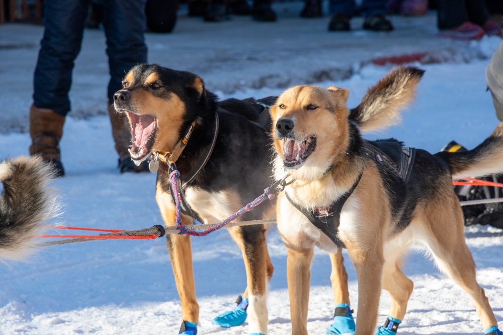 Marines at The Iditarod
