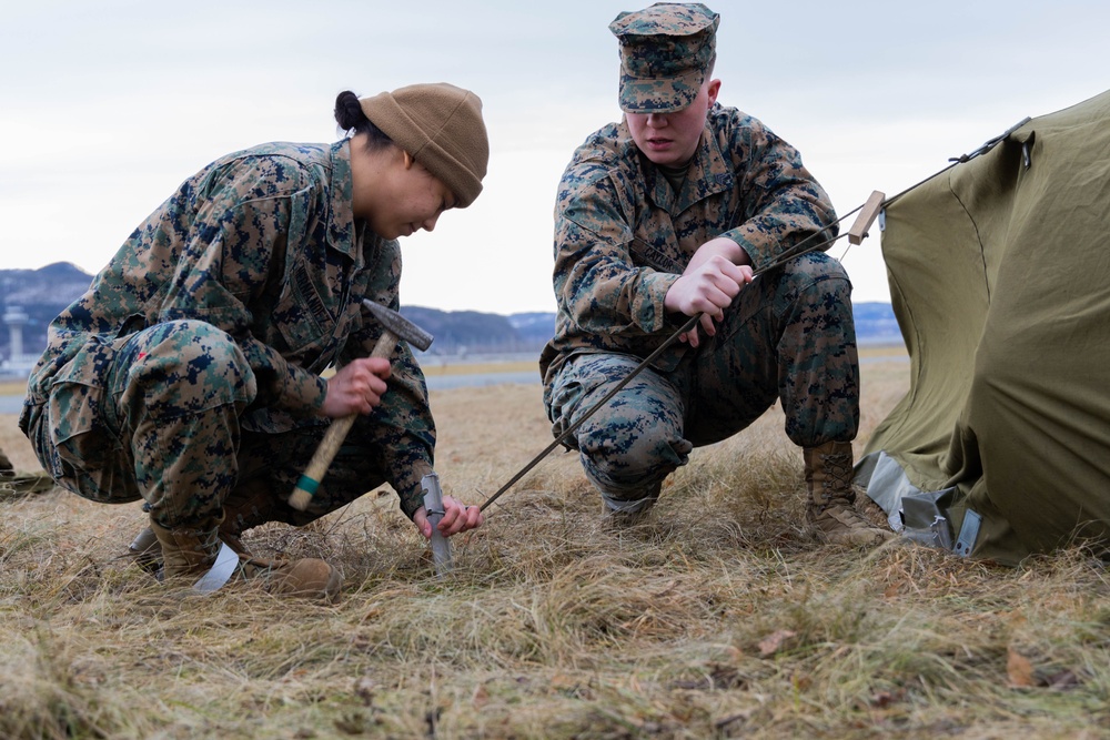Cold Weather Training: II MEF AAOG Marines and Norwegian Armed Forces during Exercise Northern Winter