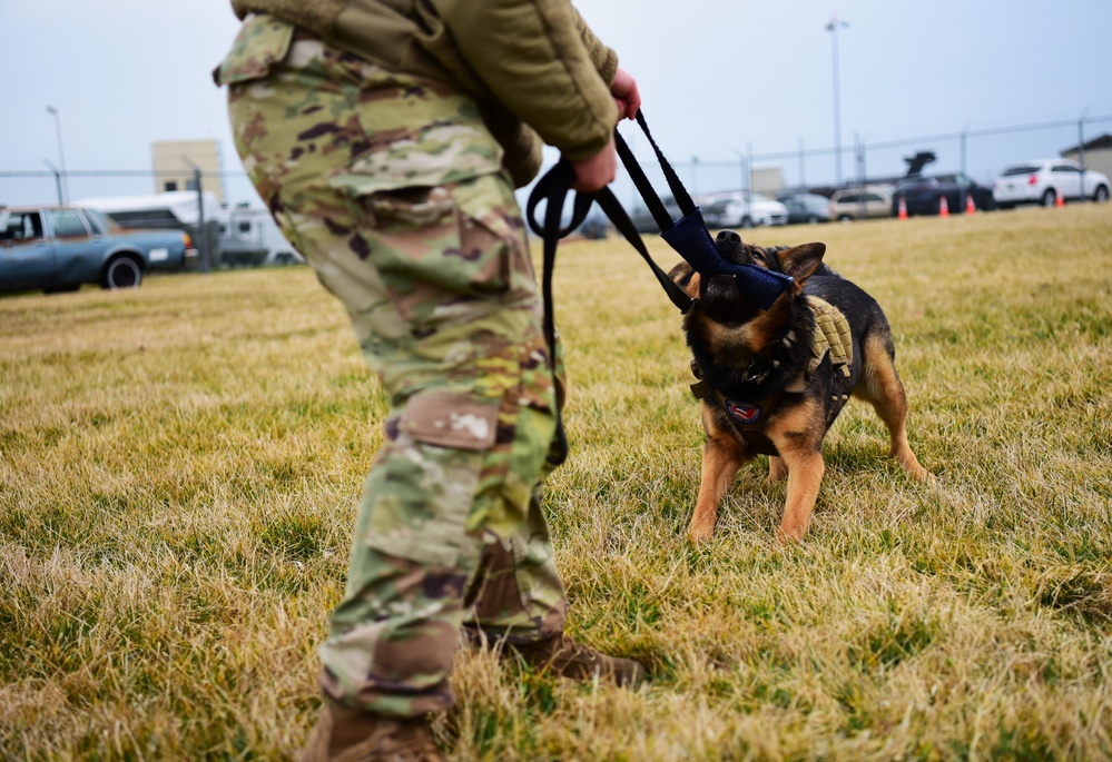 436th Security Forces MWD Drug Detector Dog