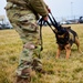 436th Security Forces MWD Drug Detector Dog