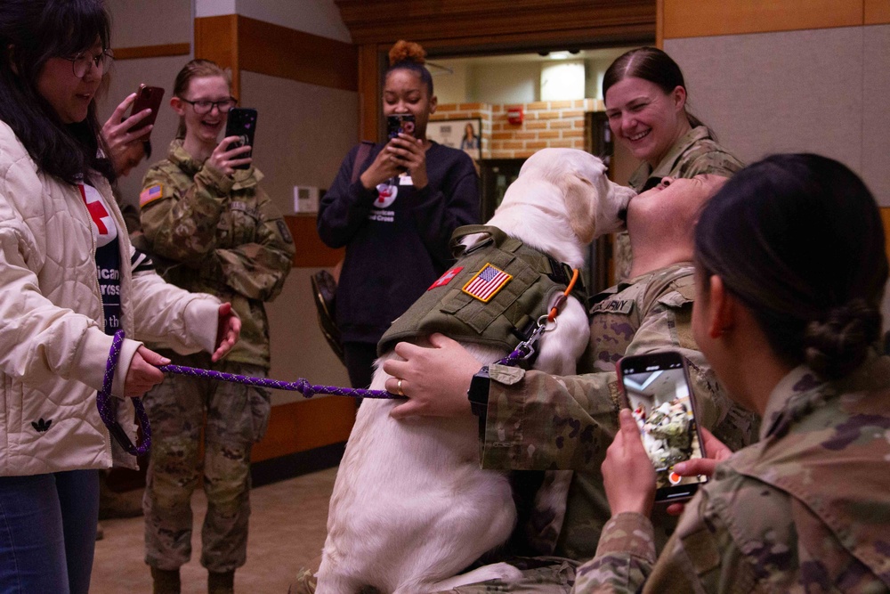 The American Red Cross AVP visits Camp Casey