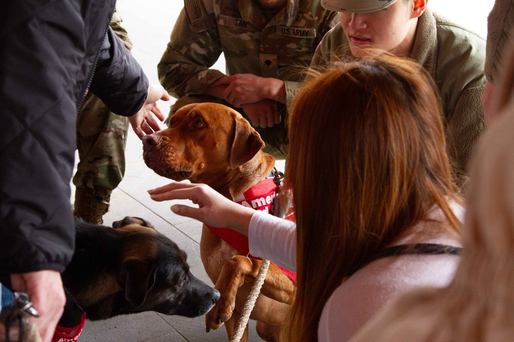 The American Red Cross AVP visits Camp Casey