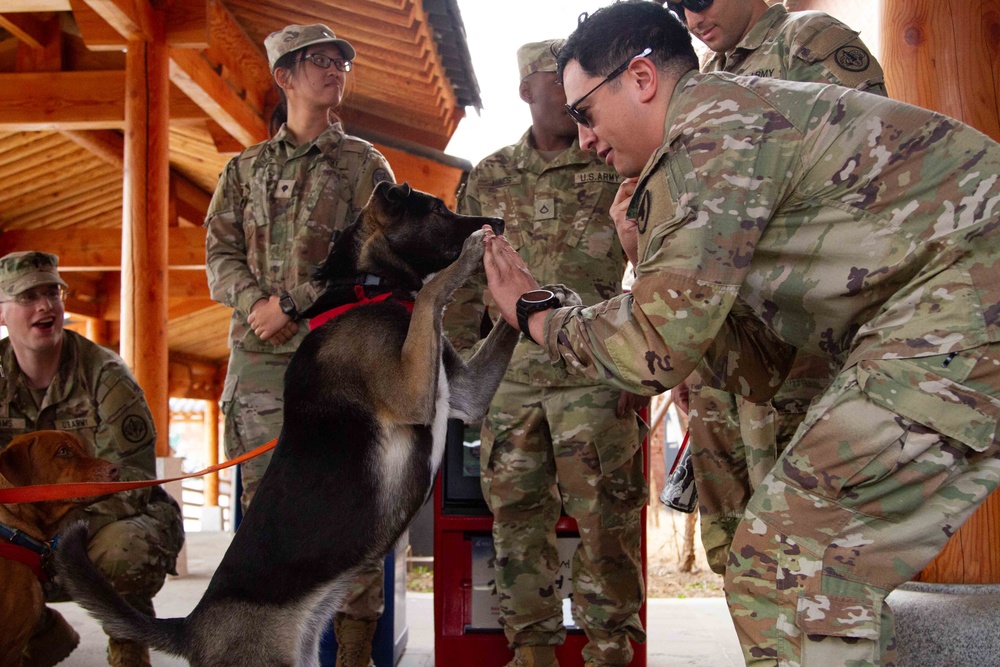 The American Red Cross AVP visits Camp Casey