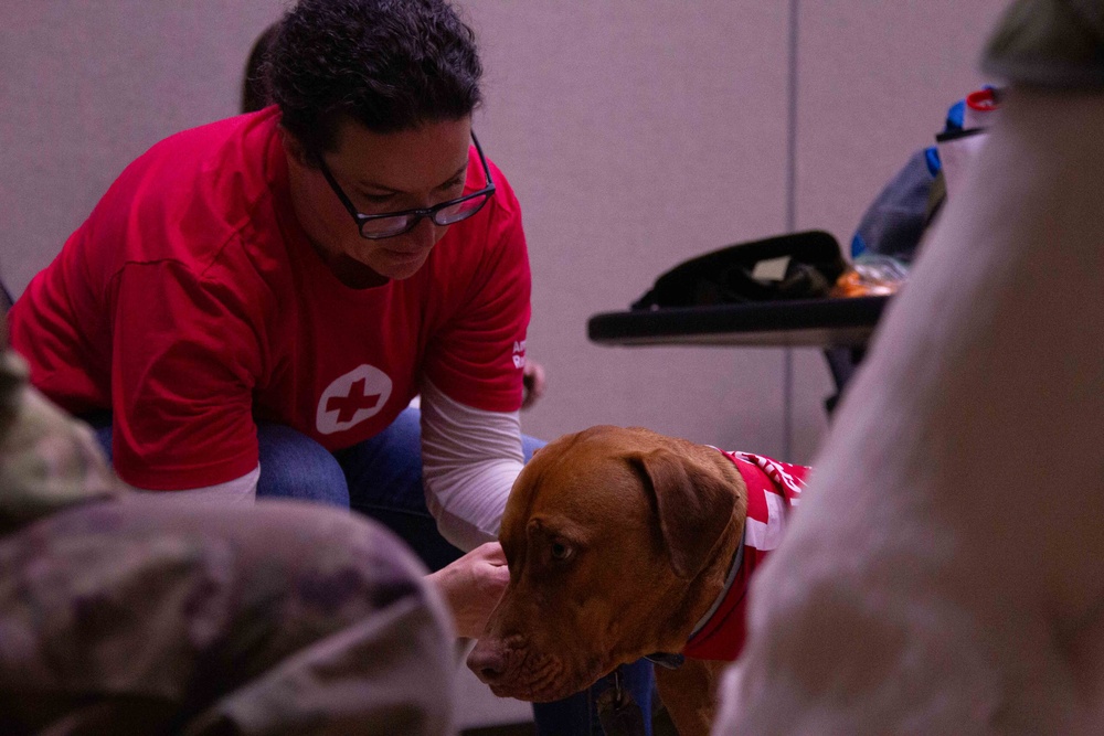 The American Red Cross AVP visits Camp Casey