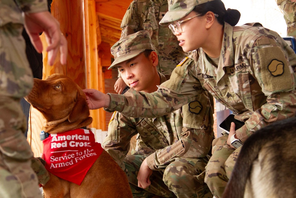 The American Red Cross AVP visits Camp Casey