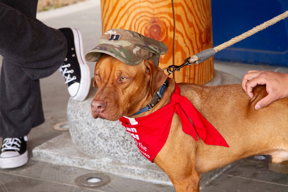 The American Red Cross AVP visits Camp Casey