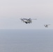 Warrior Shield 24 | MAG-36 Bilateral Formation Flight