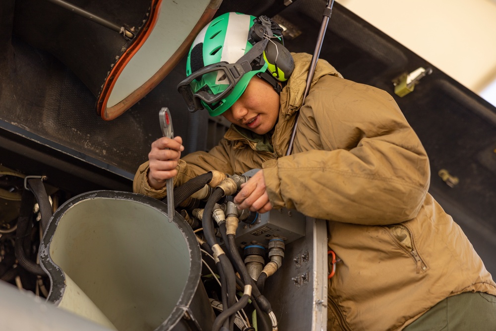 Warrior Shield 24 | HMLA-369 maintains aircraft