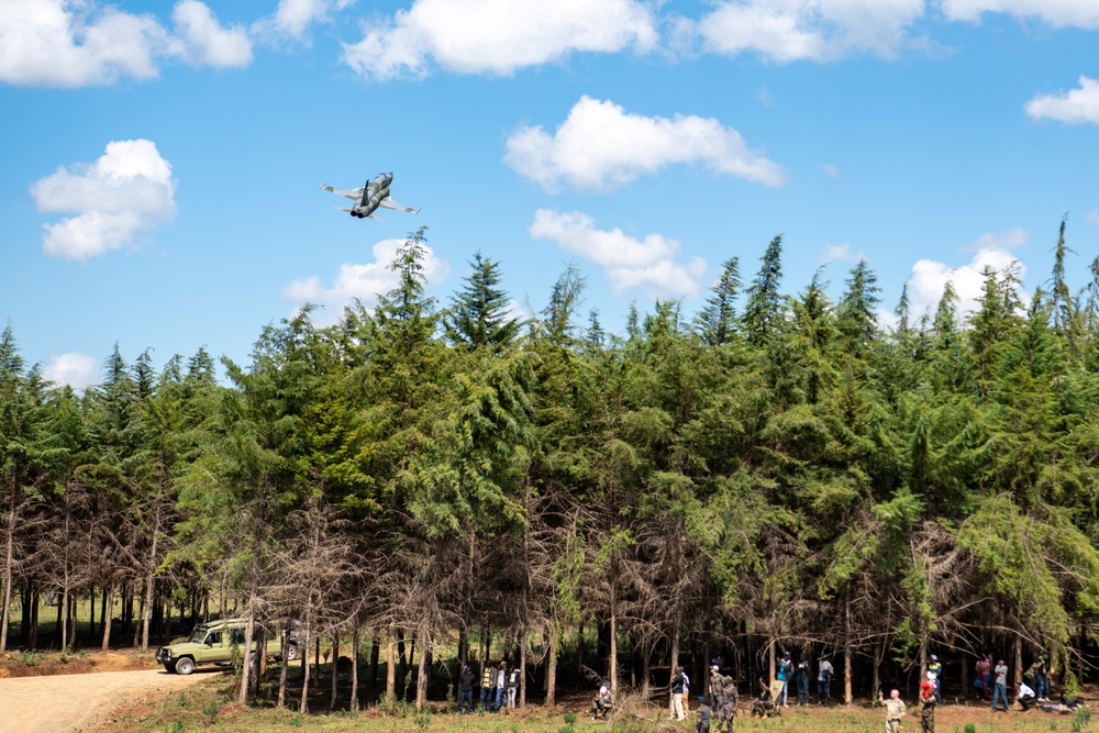 Kenya Air Force pilot conducts a capabilities fly-by in an F-5E