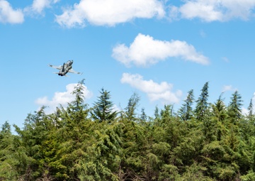 Kenya Air Force pilot conducts a capabilities fly-by in an F-5E