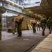 Finnish Marines prepare for small boat operations board USS Gunston Hall in support of Steadfast Defender 24