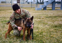 436th Security Forces MWD