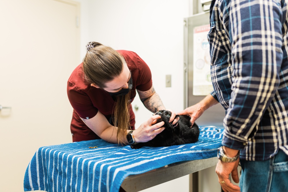 Big hearts for furry patients: Fort Novosel Veterinary Treatment Facility