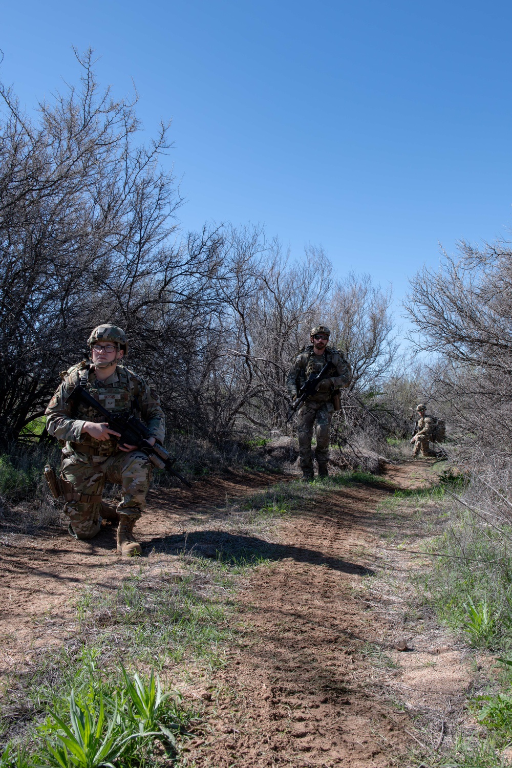 Squad and Fireteam Movement Training