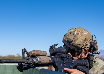 Squad and Fireteam Movement Training