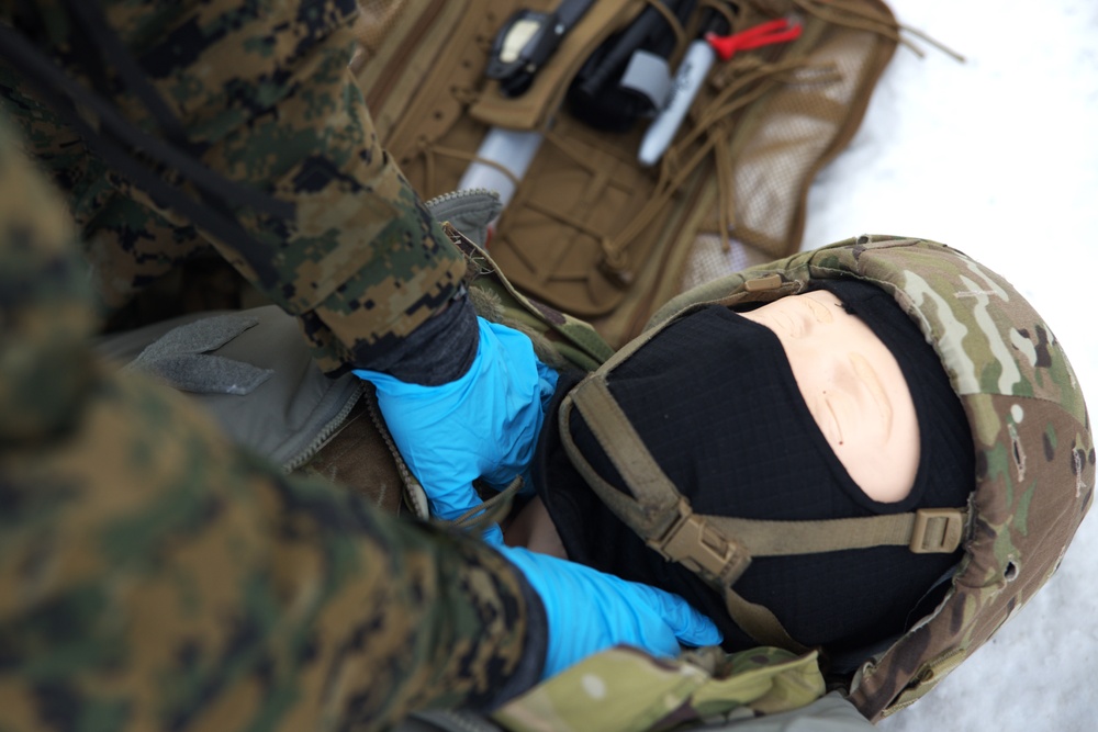 ARCTIC EDGE 2024: 1st Marine Division corpsmen conduct cold weather medical operations