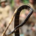 15th MEU Learns How to Survive in the Jungle