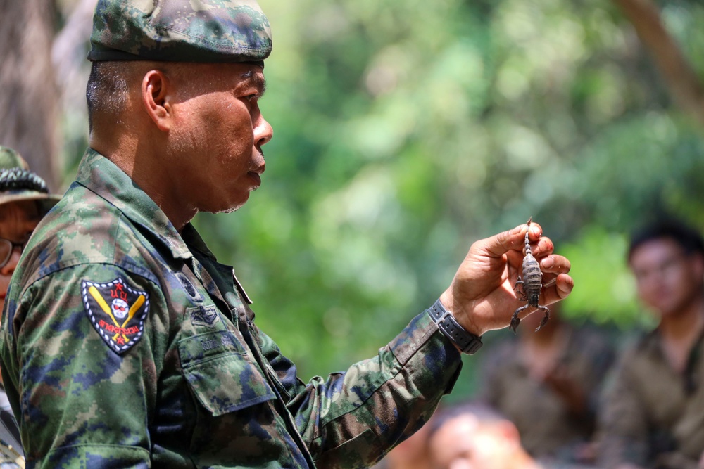 15th MEU Learns How to Survive in the Jungle
